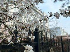 -长春公园(普阳街道)