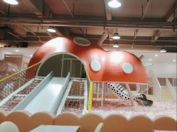 -宝燕乐园(春申店)