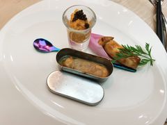 -诺莱仕游艇会