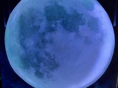 -梵高星空艺术馆(北京旗舰店)