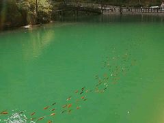 -山西通天峡景区