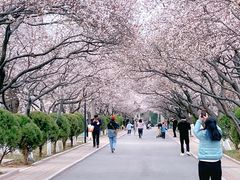 -山东师范大学(千佛山校区)