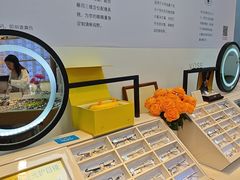 -天空之镜眼镜店蔡司依视路配镜授权零售店(望京颐堤港店)