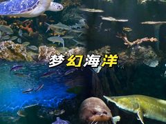 -华夏文旅西安度假区