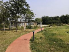 -马家湾湿地公园