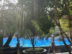 -上海浦东星河湾酒店