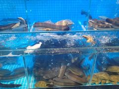 -山海•蒸汽活海鲜自助(皇庭广场店)