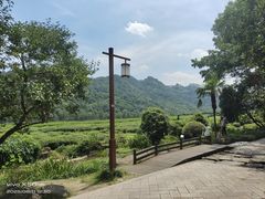 -绿茶餐厅(龙井船宴· 品牌总店)