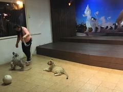 -清迈夜间动物园