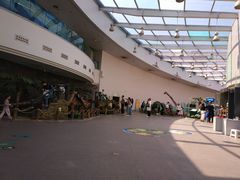 -陕西自然博物馆