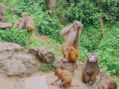 -黔灵山公园