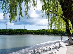 -上海交通大学(闵行校区)