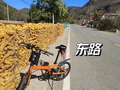 -百里山水画廊