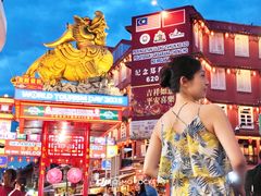 -马六甲鸡场街