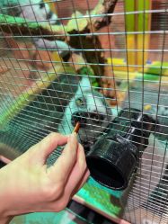 -Zoolung Zoolung动物主题公园(海信广场店)