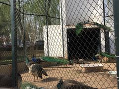 -月亮河温泉度假酒店