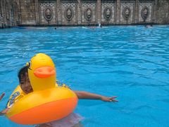 -重庆海昌加勒比海水世界