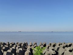 -上海滨江森林公园