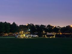 -春花秋色城市公园