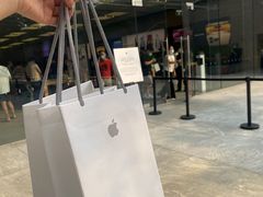-Apple零售店(深圳益田假日广场店)