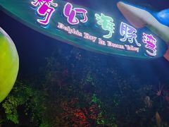 -横店影视城梦幻谷园区
