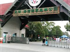 -上海海湾国家森林公园