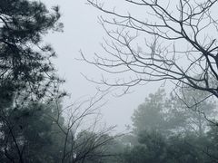 -白云山风景名胜区