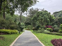 -东莞植物园