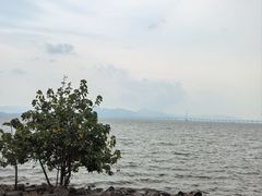 -深圳湾公园(南山区)