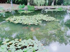 -金银湖国家城市湿地公园