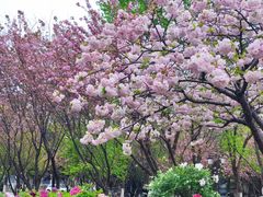 -江南大学(蠡湖校区)