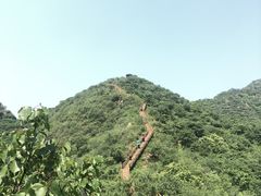 -大岭沟猕猴桃谷风景区