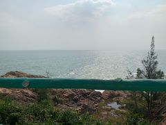 -广东惠东海龟国家级自然保护区