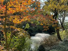 -上海醉白池公园