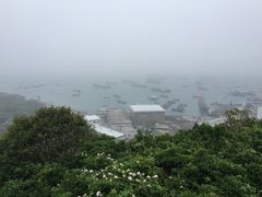 -枸杞岛