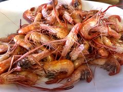 -八仔大富楼·河鲜(西江店)