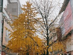 -黄兴南路步行商业街