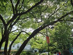 -杭州半山国家森林公园