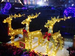 -郑州方特梦幻王国