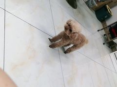 -黑土地东北私房菜馆(南门大街店)