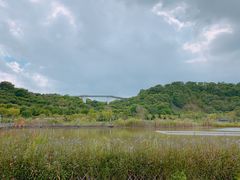 -飞凤山奥体公园