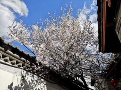 -丽江泸沽湖景区