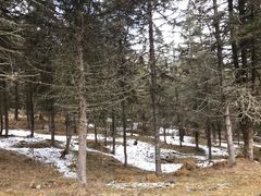 -硗碛藏寨·神木垒景区