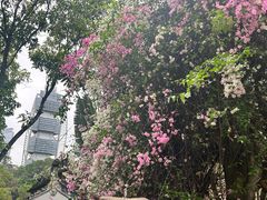 -深圳国际园林花卉博览园