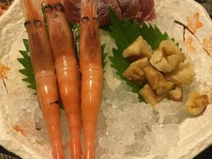 -左舞日本料理