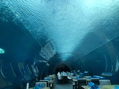 -海棠湾洲际-涛·海底餐厅·美人鱼·自助餐·海底隧道