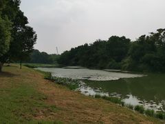 -艾溪湖湿地公园