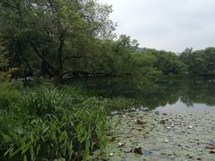 -茅家埠