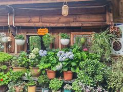 -龙姐私房菜(和顺古镇店)