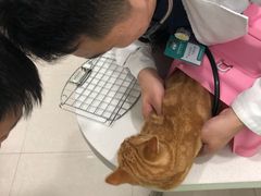 -佳雯宠物医院(四明中路分院)